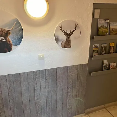 Adlerhorst 게스트하우스